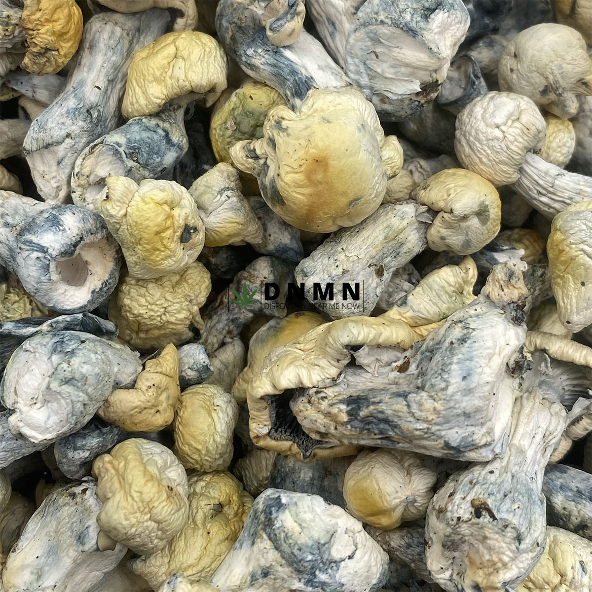 Pearly Gates Magic Mushrooms - Online Dispensary Canada - Dispensary Near Me Now