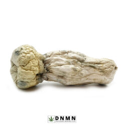 SV-13 Magic Mushrooms - Buy Weed Online - Dispensary Near Me Now