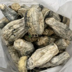 SV-13 Magic Mushrooms - Cheap Weed Canada - Dispensary Near Me Now