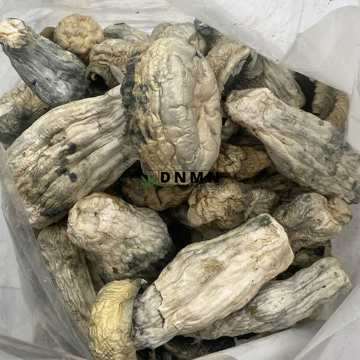 SV-13 Magic Mushrooms - Cheap Weed Canada - Dispensary Near Me Now