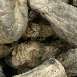 SV-13 Magic Mushrooms - Online Dispensary Canada - Dispensary Near Me Now