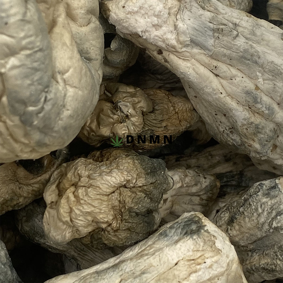 SV-13 Magic Mushrooms - Online Dispensary Canada - Dispensary Near Me Now