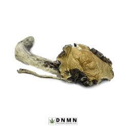 Trinity-Magic-Mushrooms-Buy-Weed-Online-Dispensary-Near-Me-Now