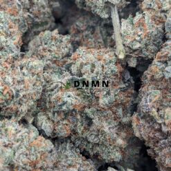 GMO Cookies - Online Dispensary Canada - Dispensary Near Me Now