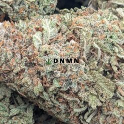 Nuken - Online Dispensary Canada - Dispensary Near Me Now