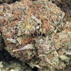SFV OG - Online Dispensary Canada - Dispensary Near Me Now