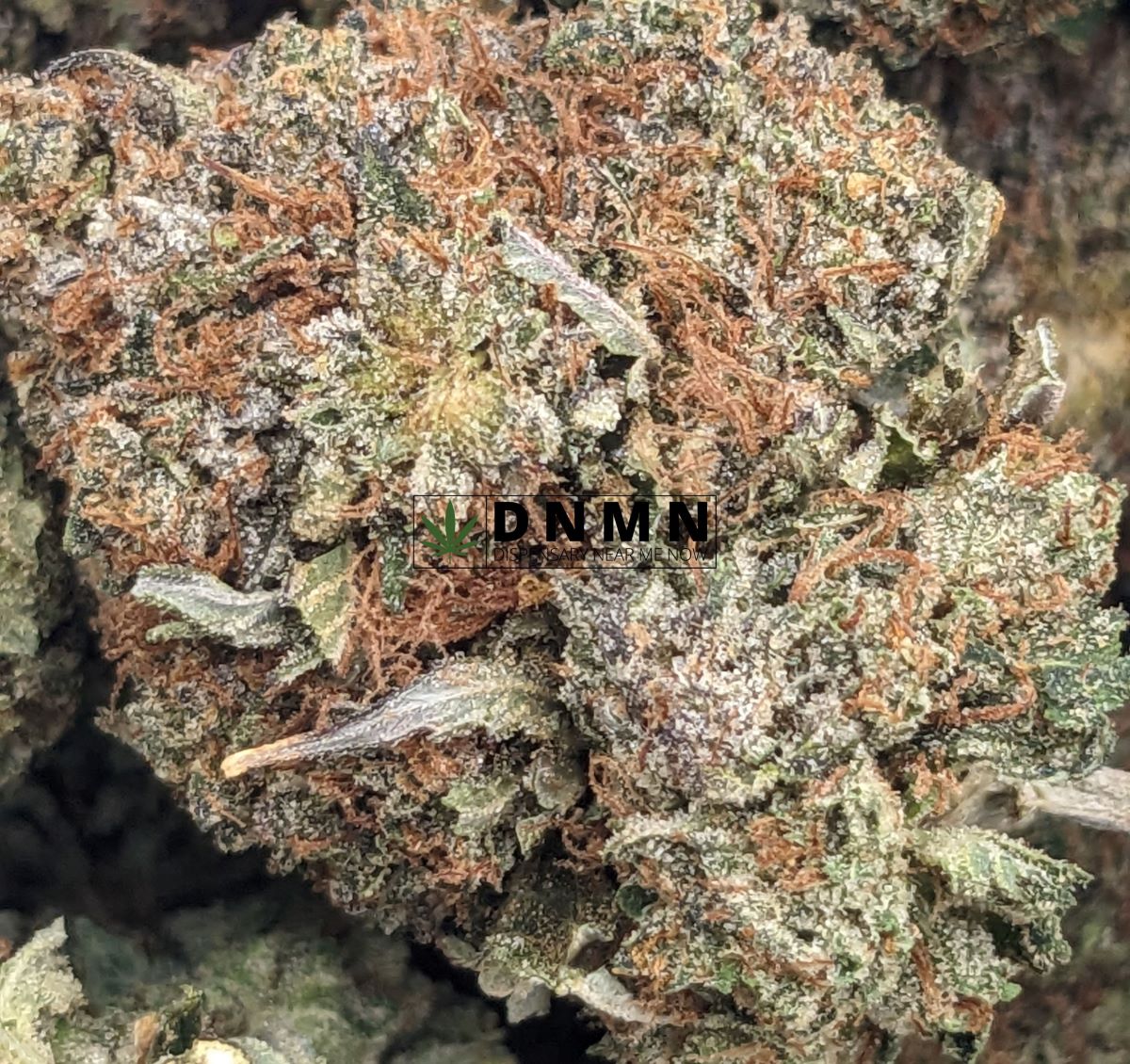 SFV OG - Online Dispensary Canada - Dispensary Near Me Now