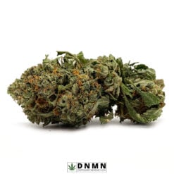 Black Gas - Buy Weed Online - Dispensary Near Me Now