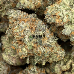 Black Gas - Online Dispensary Canada - Dispensary Near Me Now