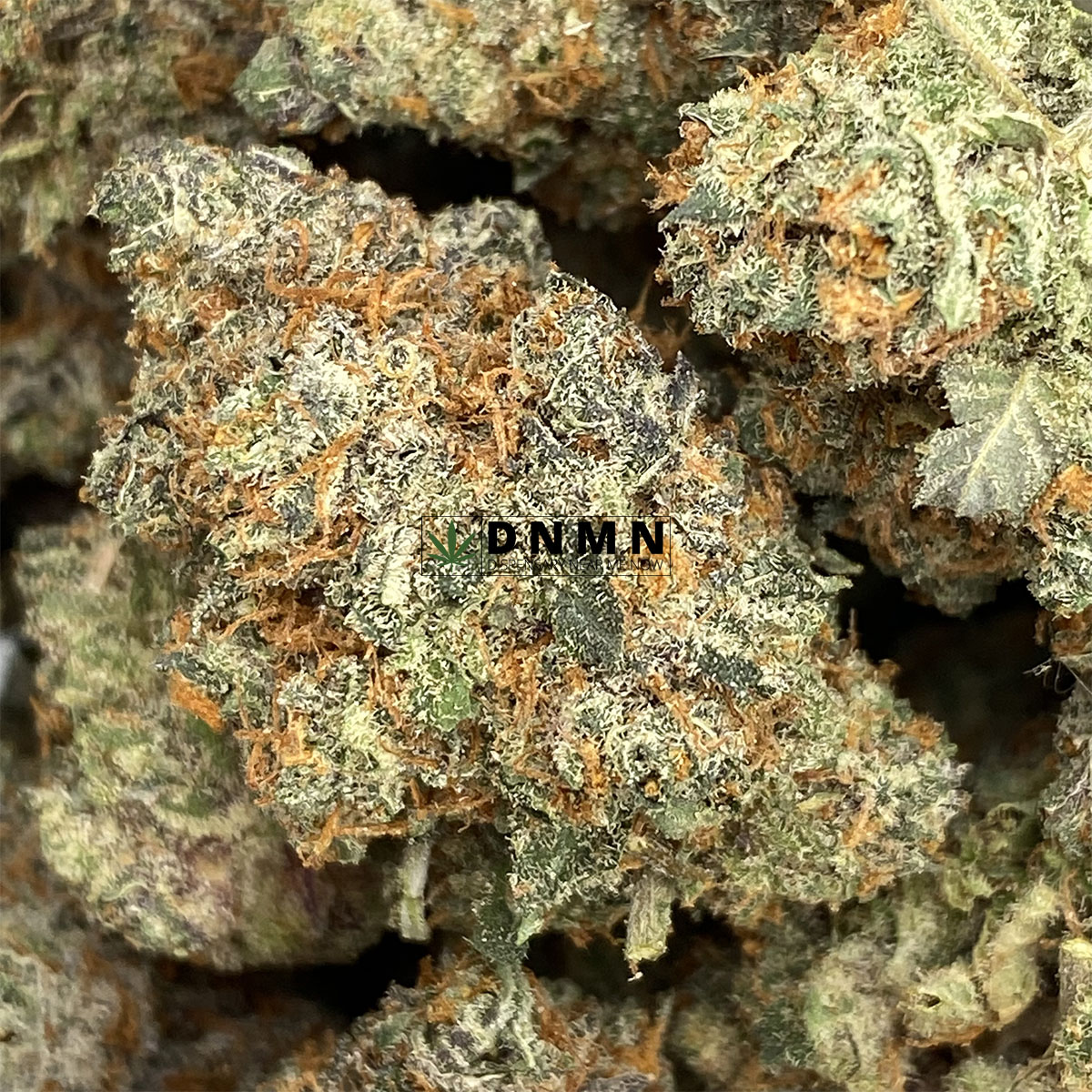 Black Gas - Online Dispensary Canada - Dispensary Near Me Now