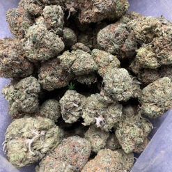 Blue Runtz - Cheap Weed Canada - Dispensary Near Me Now