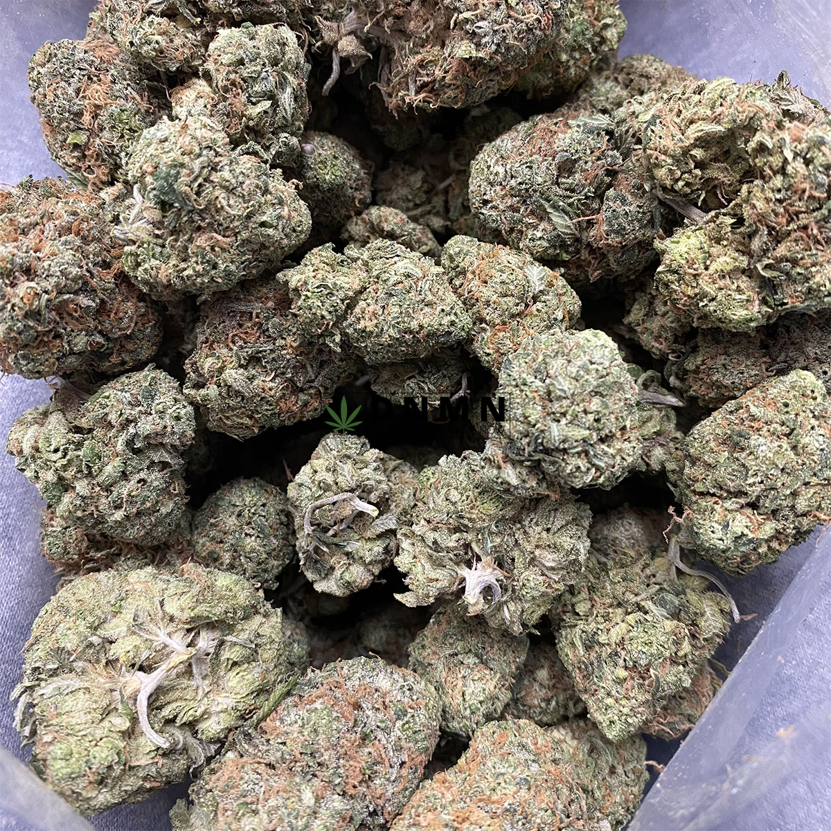 Blue Runtz - Cheap Weed Canada - Dispensary Near Me Now