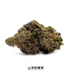 Brownie Scout - Buy Weed Online - Dispensary Near Me Now