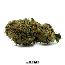 Burmese Kush - Buy Weed Online - Dispensary Near Me Now