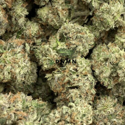 Burmese Kush - Online Dispensary Canada - Dispensary Near Me Now