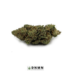 Citrus Haze - Buy Weed Online - Dispensary Near Me Now