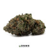 Death Tuna - Buy Weed Online - Dispensary Near Me Now