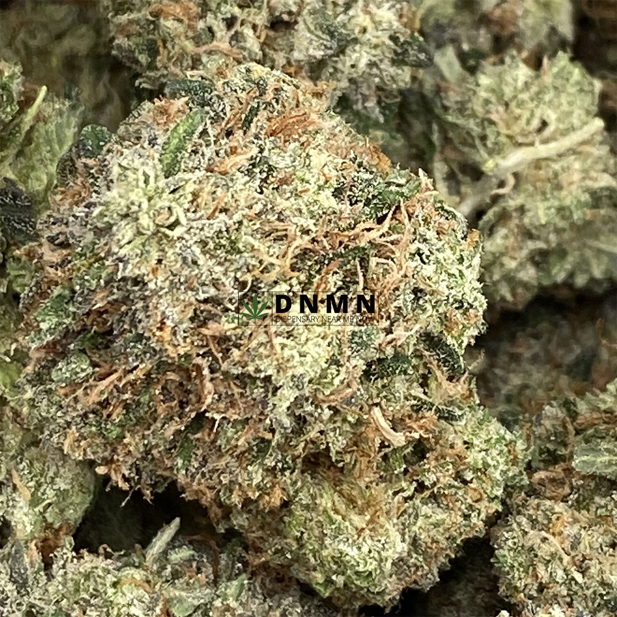 Death Tuna - Online Dispensary Canada - Dispensary Near Me Now