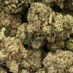 Jedi Kush - Online Dispensary Canada - Dispensary Near Me Now