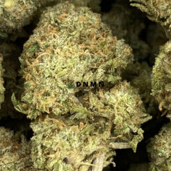 King's Kush - Cheap Weed Canada - Dispensary Near Me Now