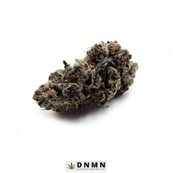 Purple Gusher - Buy Weed Online - Dispensary Near Me Now