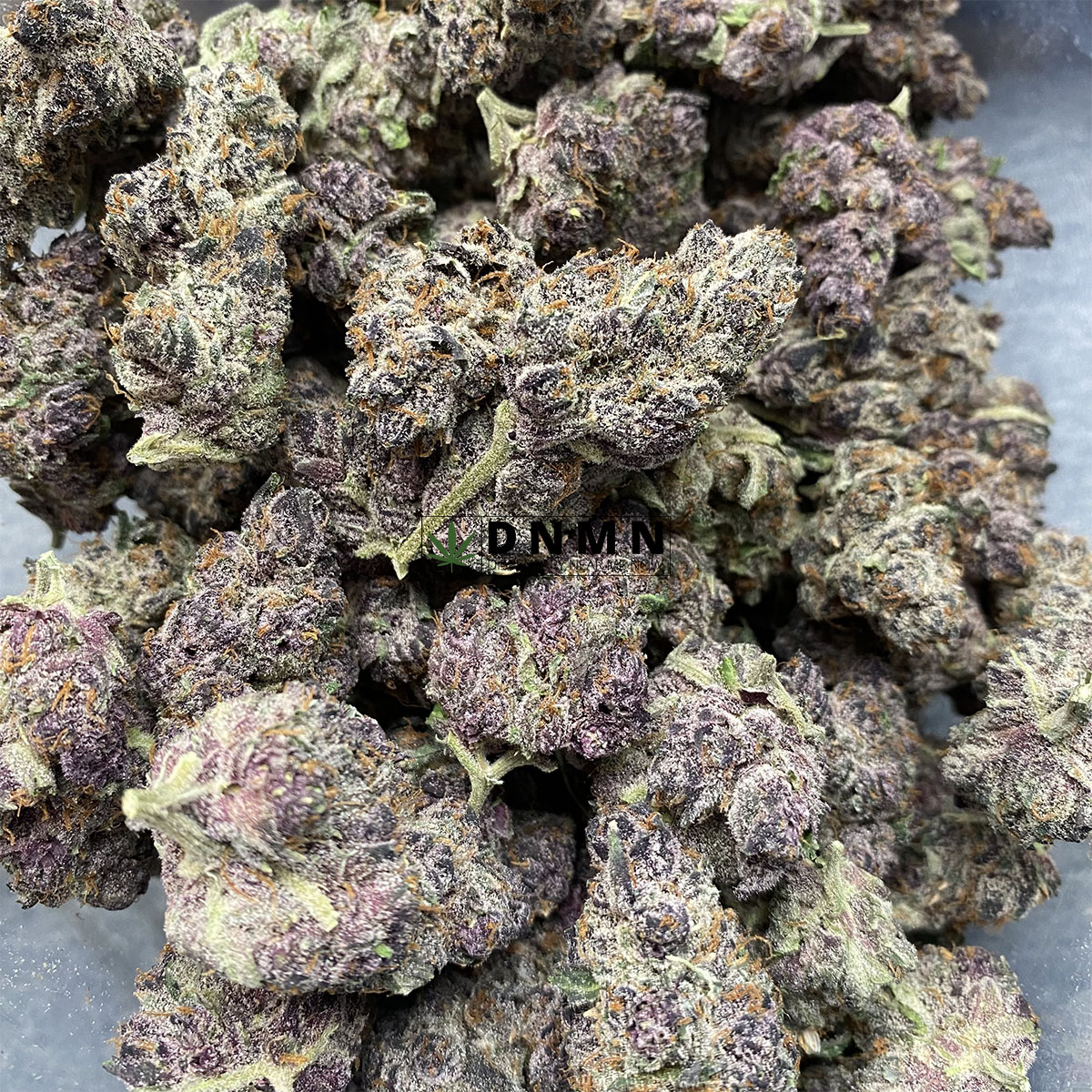 Purple Gusher - Cheap Weed Canada - Dispensary Near Me Now