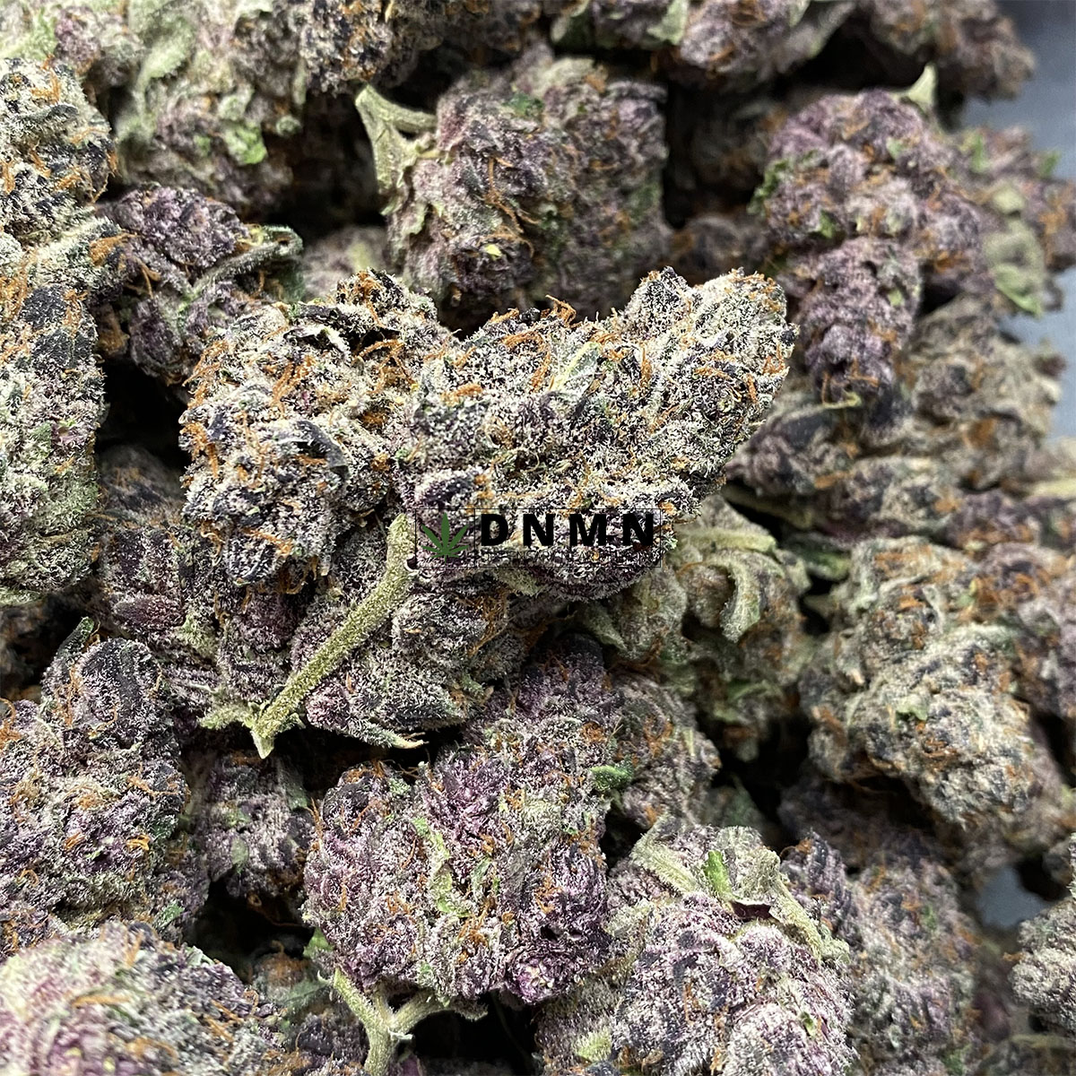 Purple Gusher - Online Dispensary Canada - Dispensary Near Me Now
