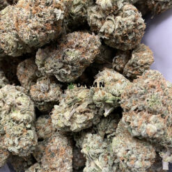 Rainbow Runtz - Cheap Weed Canada - Dispensary Near Me Now