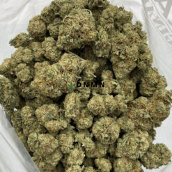 Space Queen - Cheap Weed Canada - Dispensary Near Me Now