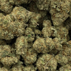 Space Queen - Online Dispensary Canada - Dispensary Near Me Now